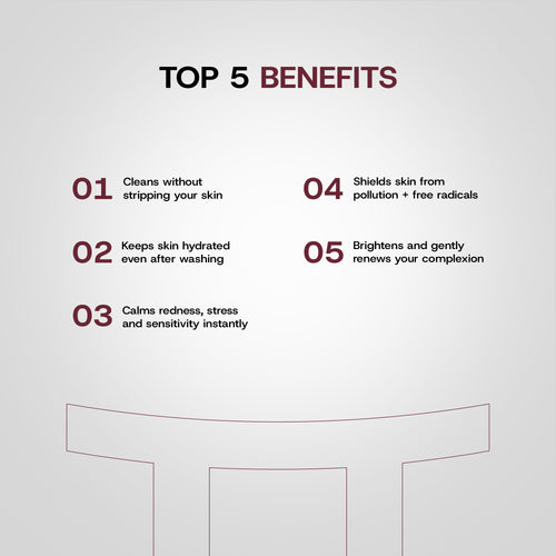 Clean Slate – Daily Foaming Cleanser + Pollution Detox