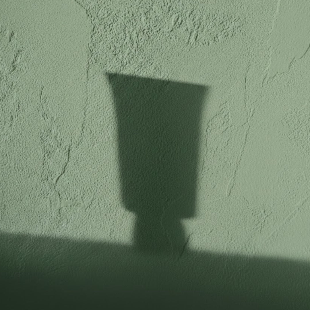 Daily Cleanser + Pollution Detox (Pre-order)