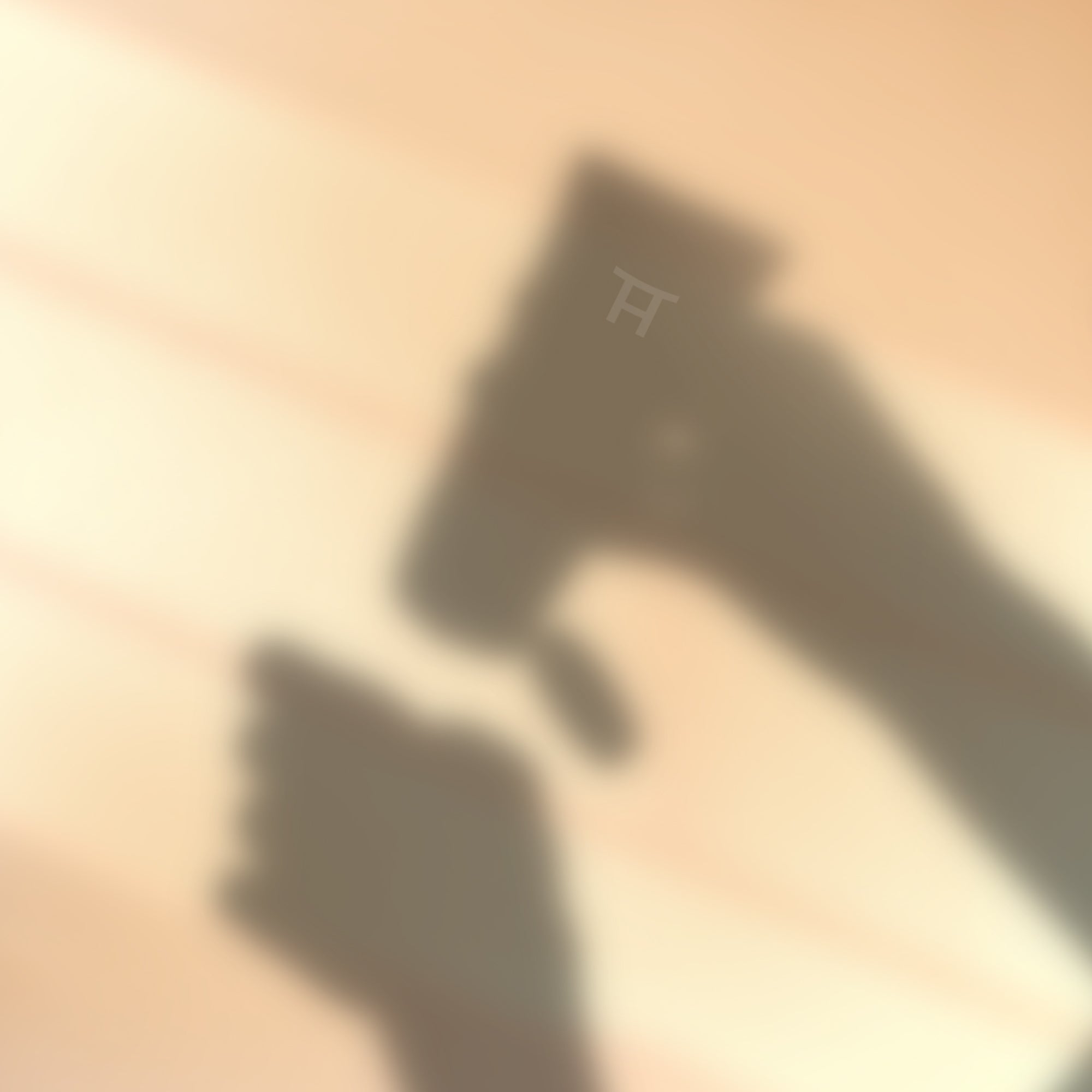 Ray Bae - SPF 50+ PA++++ Moisturizing Sunscreen